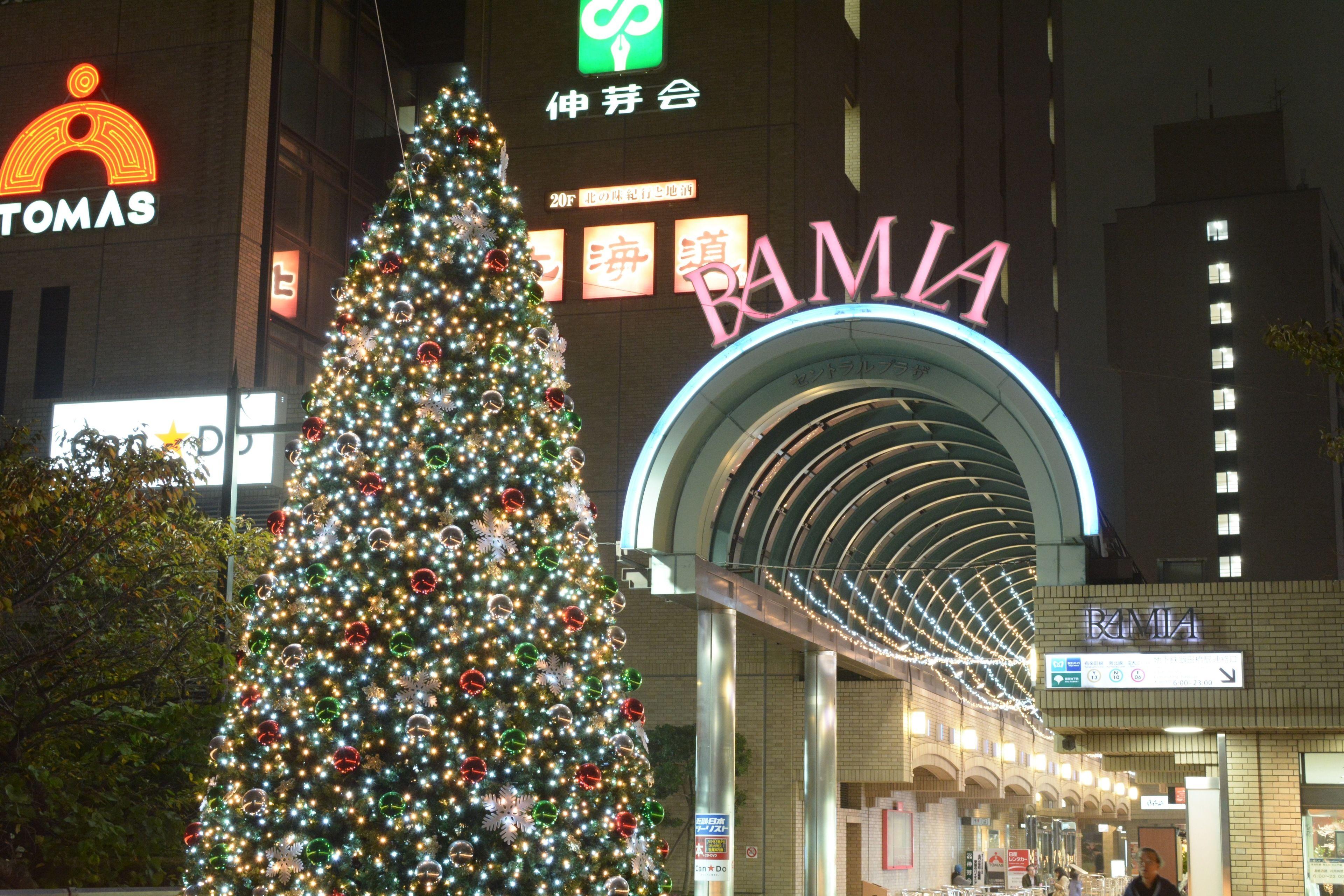 Tokyo Central Youth Hostel — Photos 1